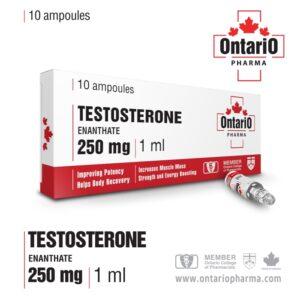 Test E INJ (Testosterone Enanthate) 250 mg/mL